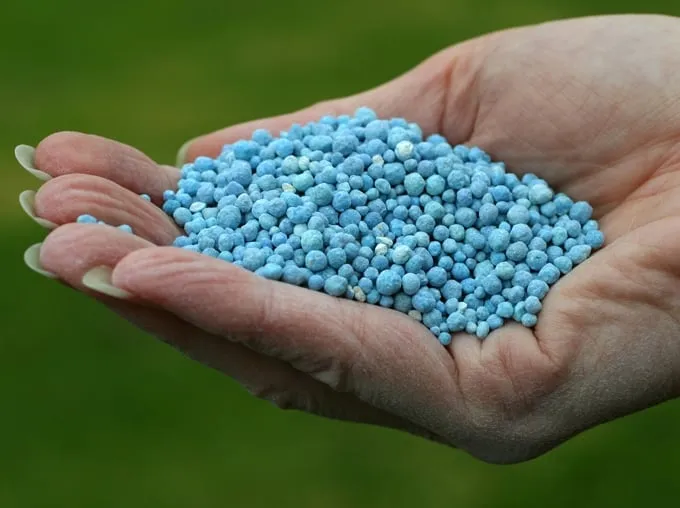 Reliable yard maintenance in Cedar Hill, MO - Going Green Lawn Services