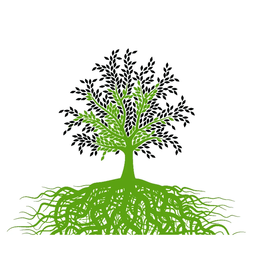 Local landscaping services for residential properties across North Hampton, NH - Going Green Seacoast Landscaping