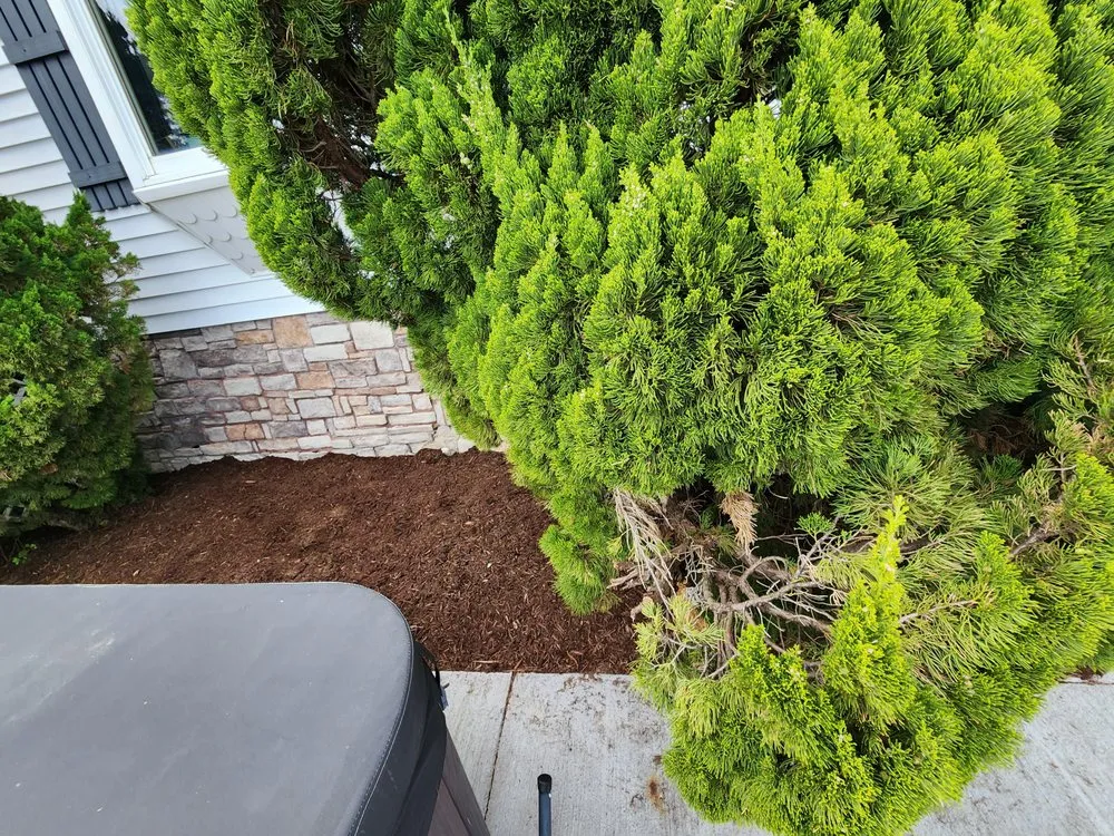 Trusted residential landscaping in Smithfield, VA by Going Ham Lawns