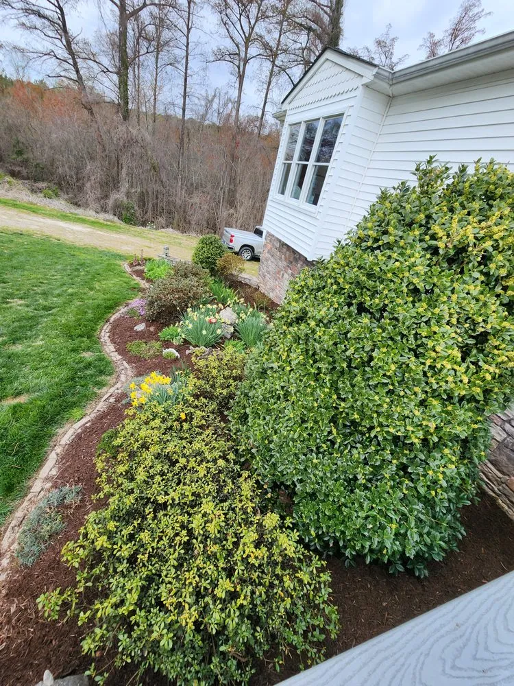 Trusted yard cleanup service in Smithfield, VA - Going Ham Lawns