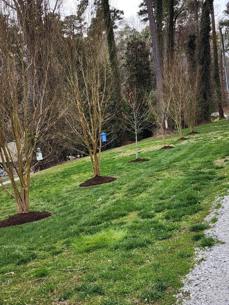 Top-rated outdoor landscaping near you in Smithfield, VA by Going Ham Lawns