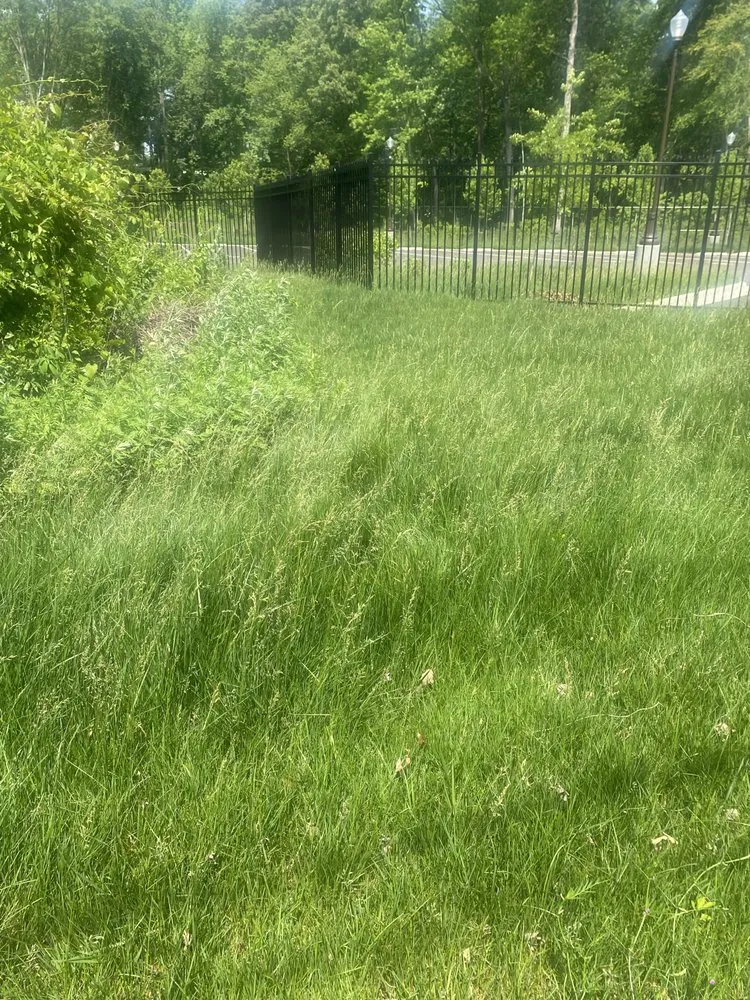 Custom landscape design experts serving Randallstown, MD - Going The Xtra Mile Landscaping