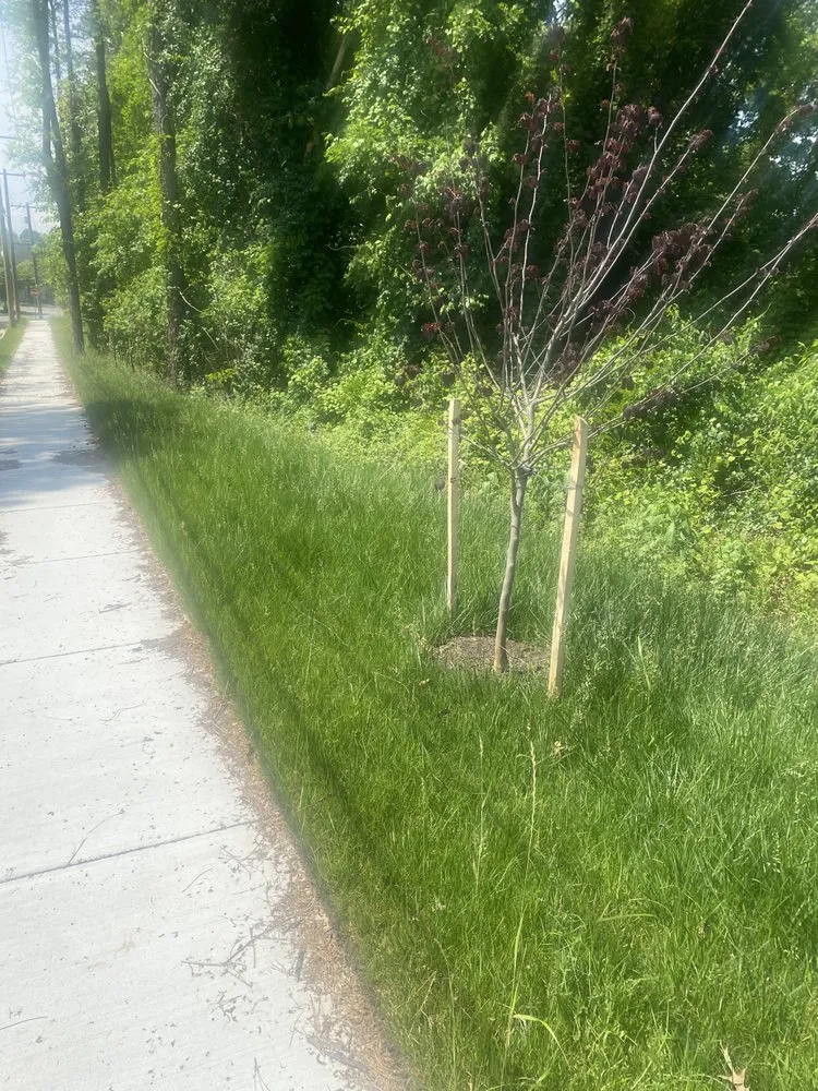 Expert garden landscaping experts serving Randallstown, MD - Going The Xtra Mile Landscaping