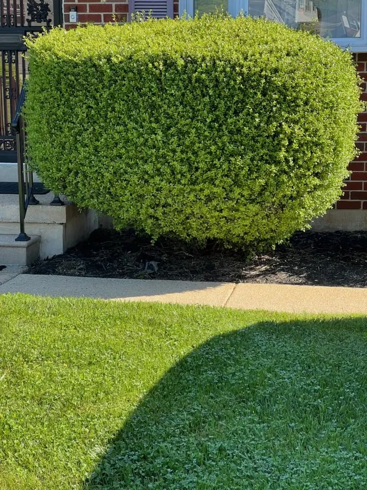 Expert outdoor landscaping for year-round maintenance across Randallstown, MD - Going The Xtra Mile Landscaping