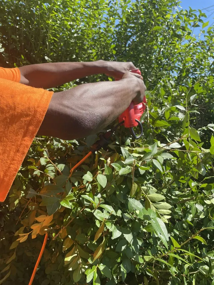 Expert landscaping services for year-round maintenance across Randallstown, MD - Going The Xtra Mile Landscaping