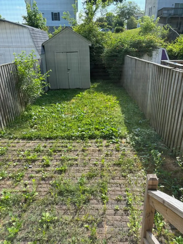 Local yard cleanup service in Randallstown, MD - Going The Xtra Mile Landscaping