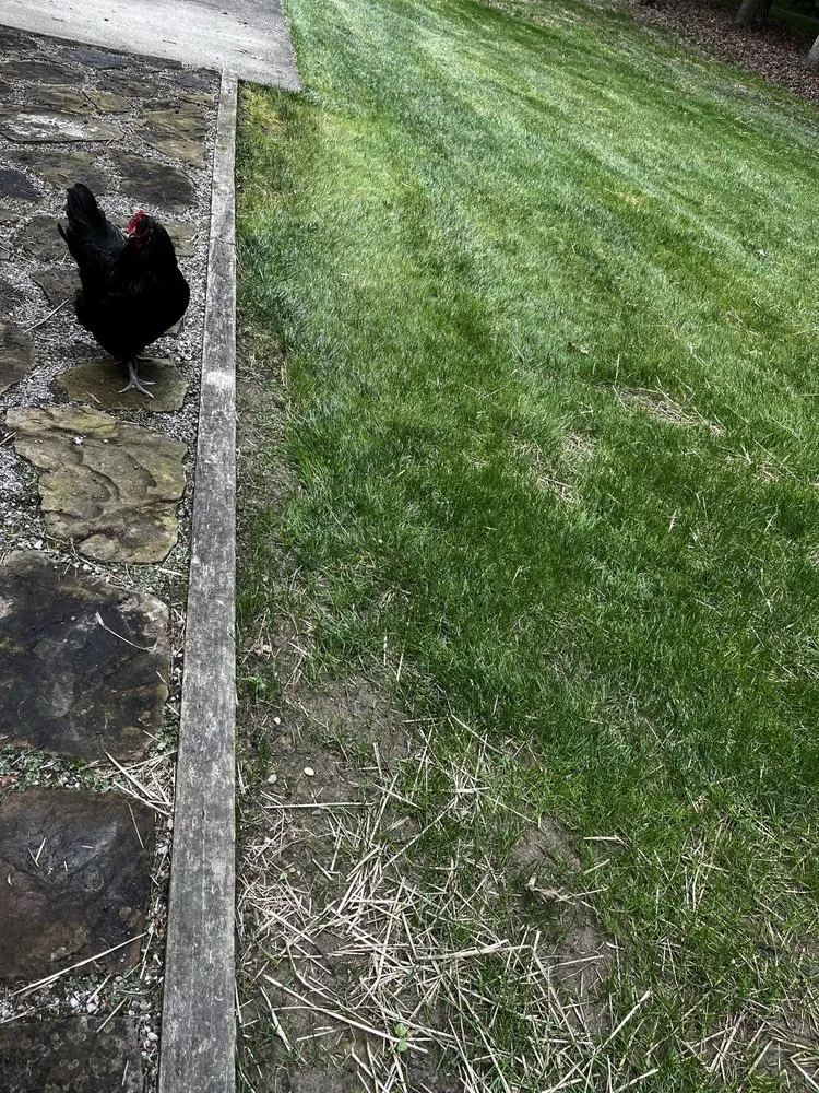 Professional lawn mowing service experts serving Louisville, OH - Going Yard Lawn & Landscape