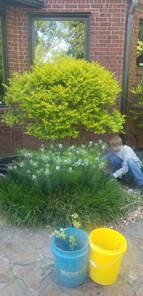 Reliable landscaping services for homes across Wichita, KS - Going Yard