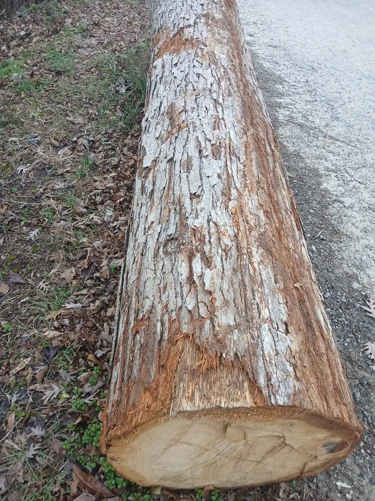 Custom lawn mowing service for beautiful yards across Jacksboro, TN - Goins Landscaping