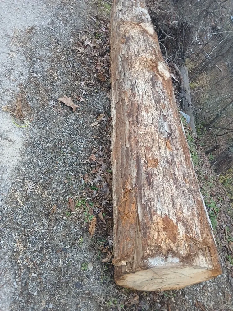 Custom garden landscaping in Jacksboro, TN by Goins Landscaping