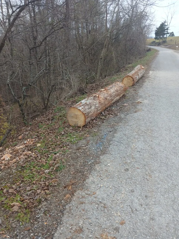 Expert outdoor landscaping for beautiful yards in Jacksboro, TN by Goins Landscaping
