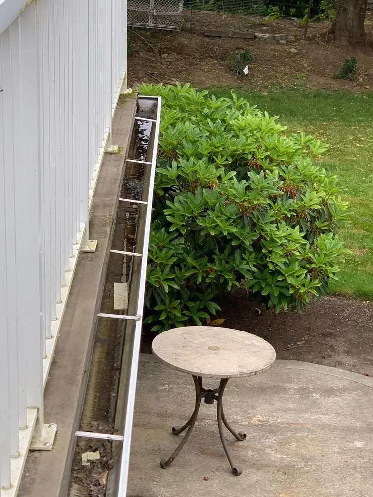 Local yard maintenance in Kirkland, WA by Goiás Landscaping & Maintenance