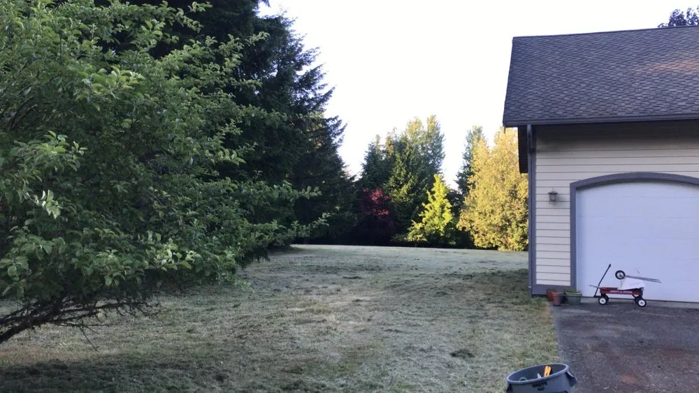 Expert landscape design for outdoor upgrades across Kirkland, WA - Goiás Landscaping & Maintenance