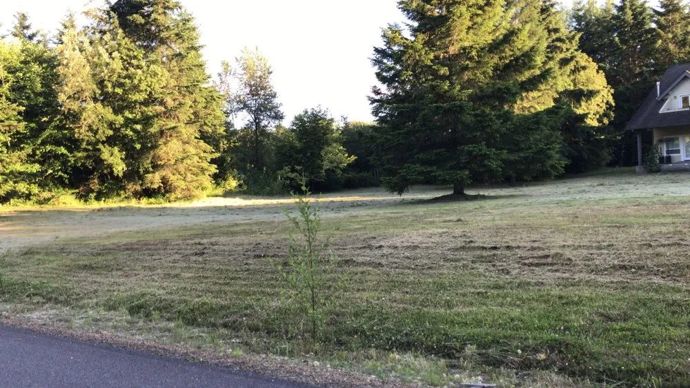 Expert lawn mowing service experts serving Kirkland, WA - Goiás Landscaping & Maintenance