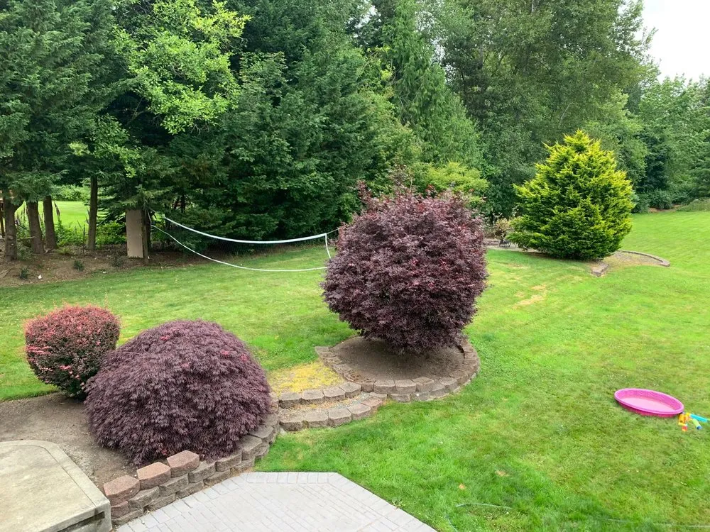 Trusted residential landscaping in Kirkland, WA by Goiás Landscaping & Maintenance