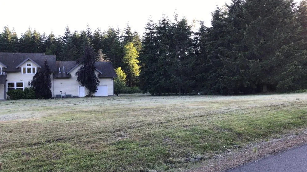 Expert yard maintenance with custom design in Kirkland, WA by Goiás Landscaping & Maintenance