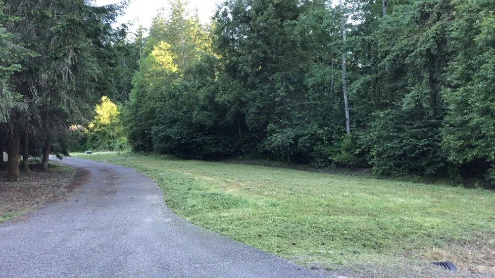 Affordable landscaping services in Kirkland, WA by Goiás Landscaping & Maintenance