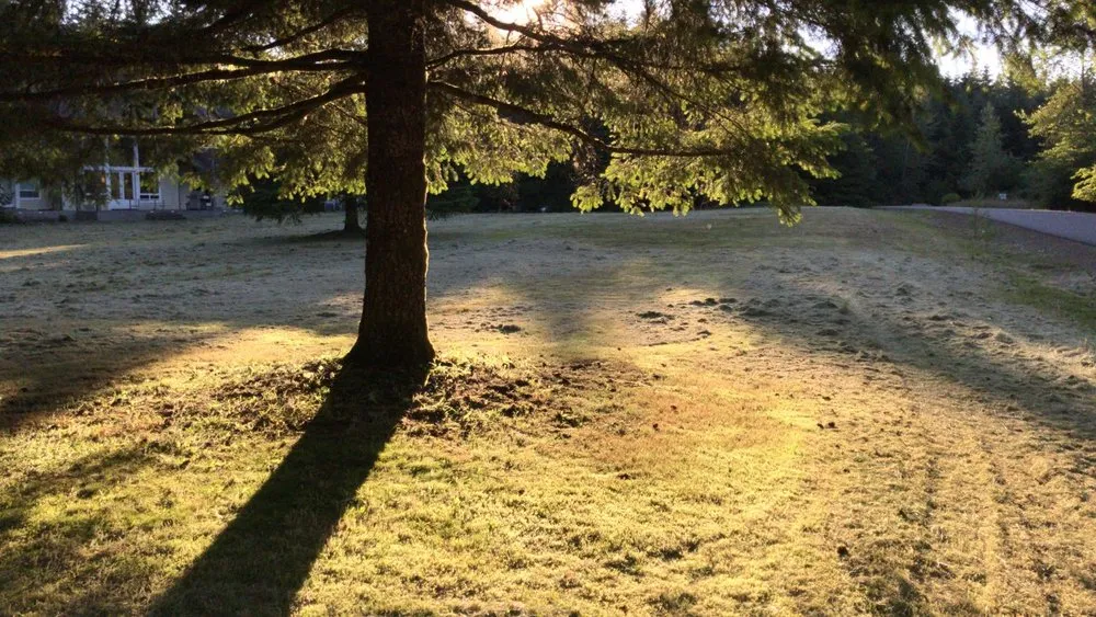 Expert landscape design experts serving Kirkland, WA - Goiás Landscaping & Maintenance