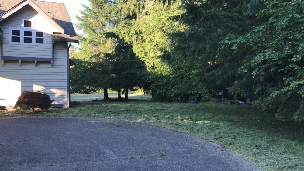 Custom yard cleanup service with custom design across Kirkland, WA - Goiás Landscaping & Maintenance