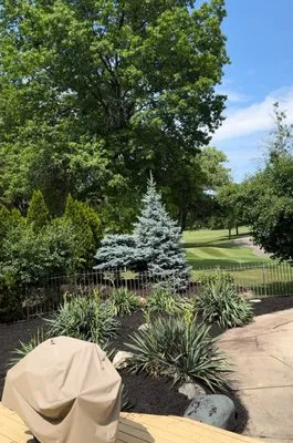 GOJCAJ Landscaping Logo