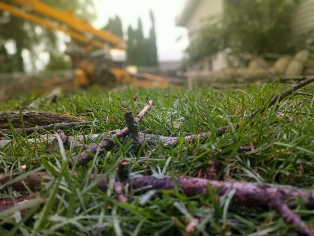 Top-rated landscape installation with custom design in Reeseville, WI by GoJo