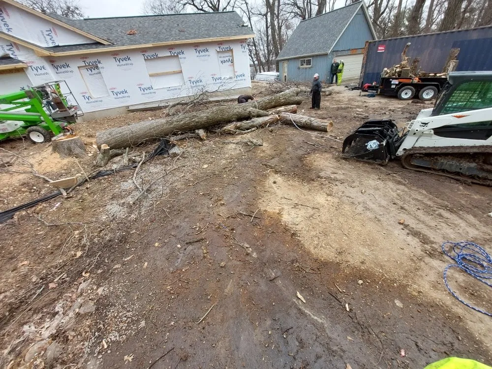 Expert yard cleanup service in Reeseville, WI by GoJo