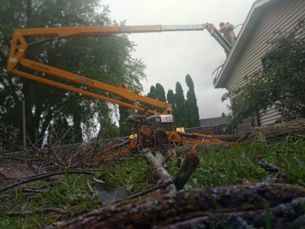 Top-rated lawn mowing service in Reeseville, WI by GoJo