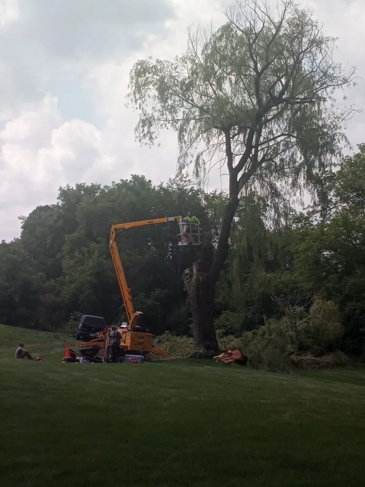 Expert lawn care service in Reeseville, WI by GoJo