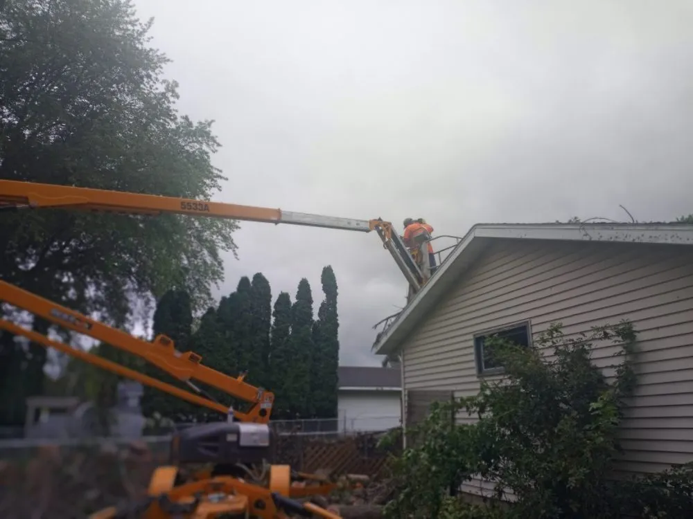 Expert yard maintenance in Reeseville, WI - GoJo