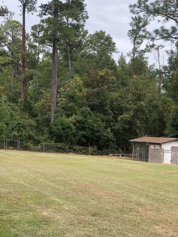 Affordable lawn mowing service in Warner Robins, GA - Gold Brothers Landscaping And More