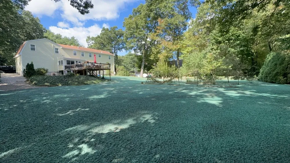 Affordable landscaping services for outdoor upgrades in Mansfield, MA by Gold Clover Landscaping