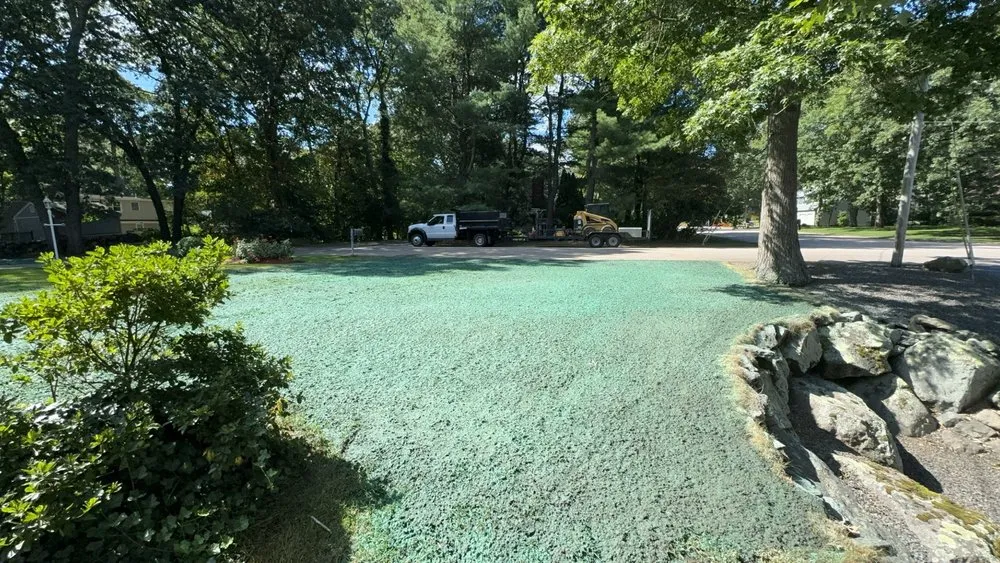 Expert yard cleanup service in Mansfield, MA by Gold Clover Landscaping
