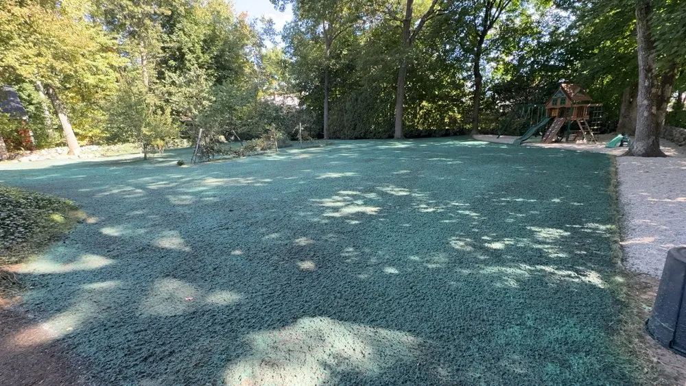Reliable landscaping services experts serving Mansfield, MA - Gold Clover Landscaping