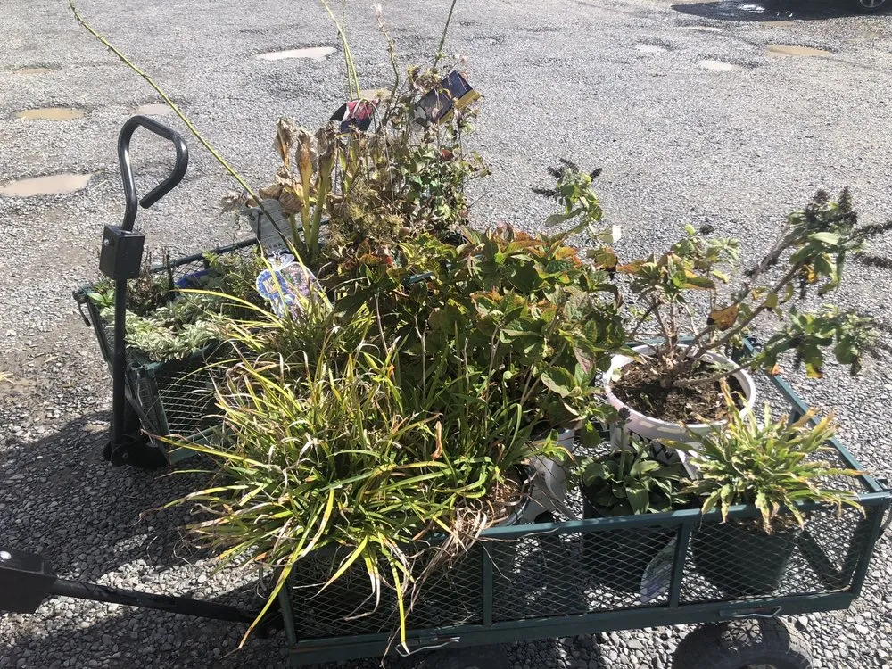 Custom yard maintenance in Long Branch, NJ by Gold Coast Gardens