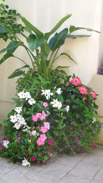 Professional lawn mowing service near you in Long Branch, NJ by Gold Coast Gardens