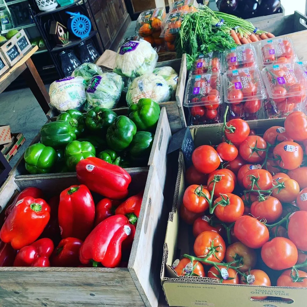 Trusted lawn mowing service in Long Branch, NJ - Gold Coast Gardens