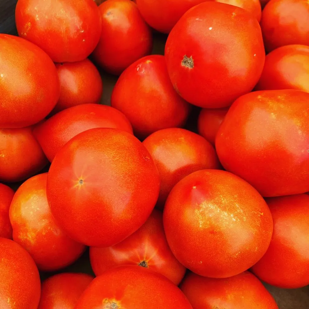 Local outdoor landscaping for homes across Long Branch, NJ - Gold Coast Gardens