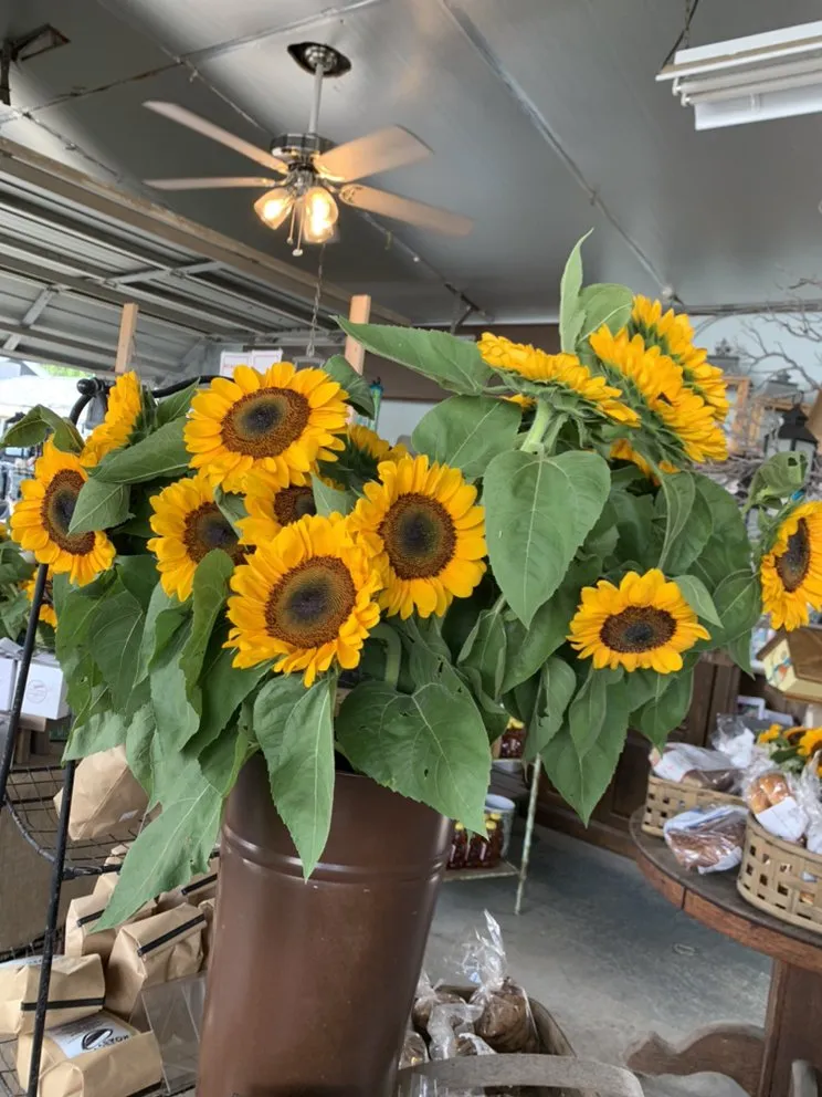 Local garden landscaping in Long Branch, NJ - Gold Coast Gardens