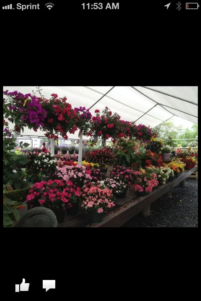 Affordable landscape design for outdoor upgrades in Long Branch, NJ by Gold Coast Gardens