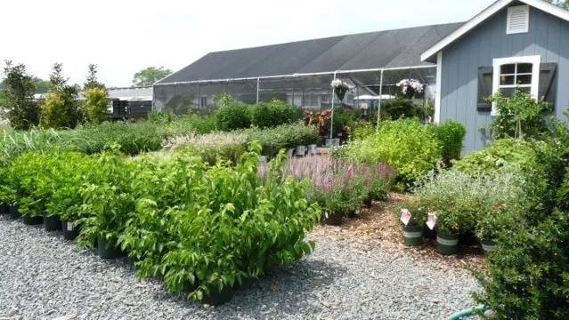 Top-rated landscape design for homes in Long Branch, NJ by Gold Coast Gardens