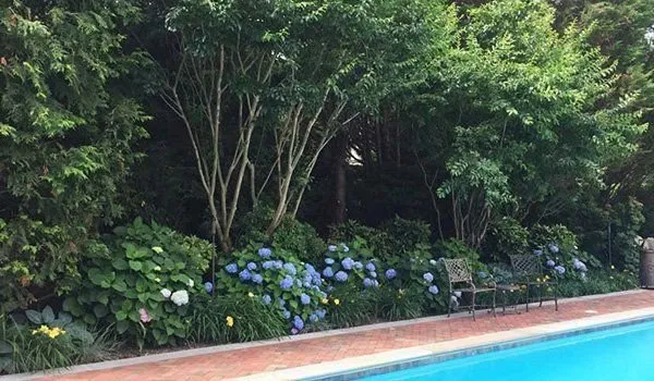 Custom garden landscaping for residential properties in Glen Cove, NY by Gold Coast Property Maintenance