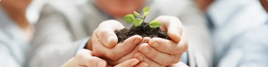 Custom landscape installation near you across Nevada City, CA - Gold Country Garden Consulting