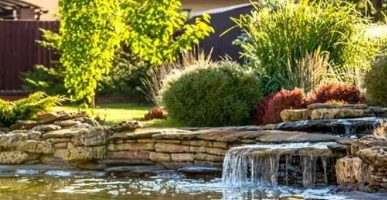 Expert lawn care service for homes across Penn Valley, CA - Gold Country Landscaping