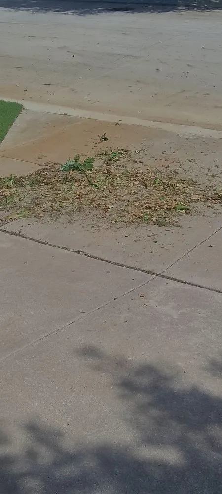 Affordable landscape design in Argyle, TX - Gold Landscape