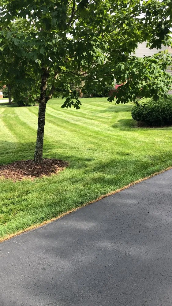 Top-rated lawn care service in Richmond, VA by Gold Landscaping