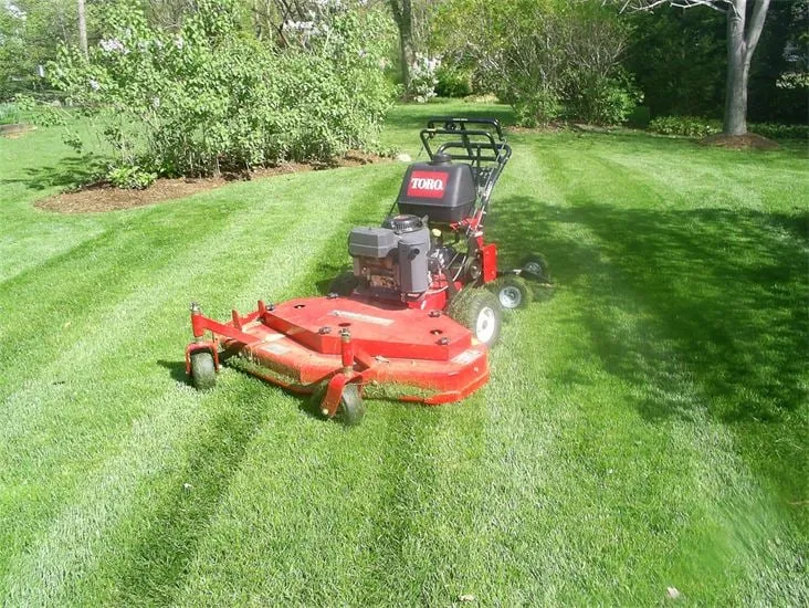 Trusted garden landscaping for outdoor upgrades across Richmond, VA - Gold Landscaping