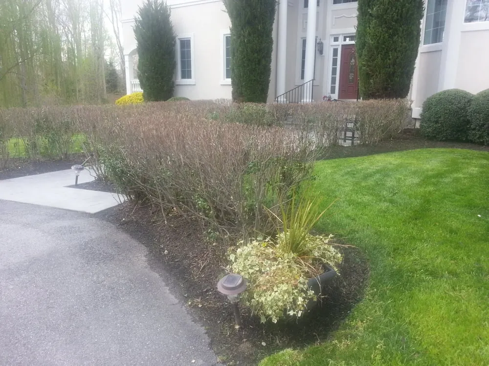 Expert lawn care service in Richmond, VA - Gold Landscaping
