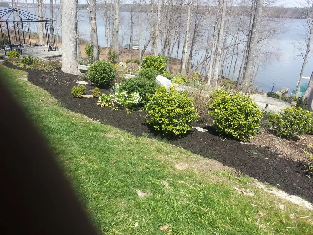 Trusted yard cleanup service for homes across Richmond, VA - Gold Landscaping
