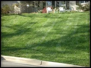 Top-rated landscape design in Richmond, VA - Gold Landscaping