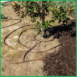 Top-rated yard cleanup service in Needham, MA - Gold Landscaping Service